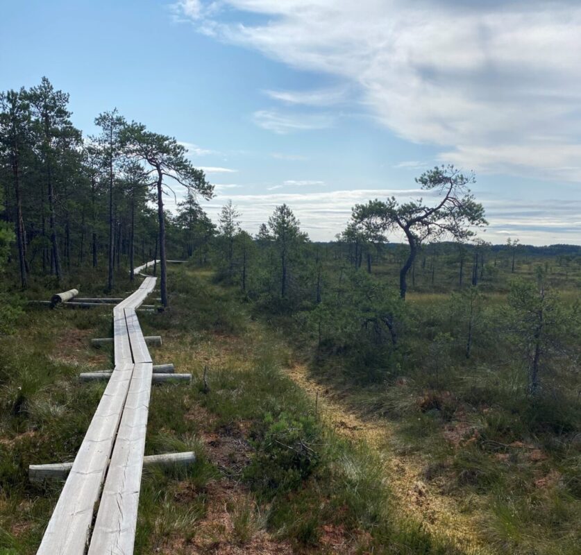 Jumalan Kansan Koti-ikävää Leirin Ulkopuolella - Lehteri